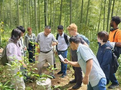 A group of people stand in a bamboo forest, observing a man in the center who appears to be explaining or demonstrating something near a cylindrical object on the ground.