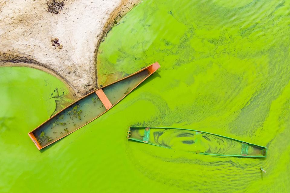 Aerial view of two abandoned boats, one orange and one green, in bright green water near a sandy shoreline.