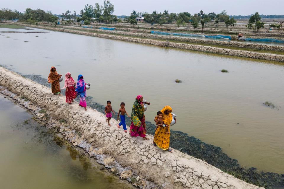 A group of women and children walk along a narrow dirt embankment between waterlogged fields, carrying belongings and wearing colorful clothing.